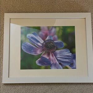 Framed Floral Art Print